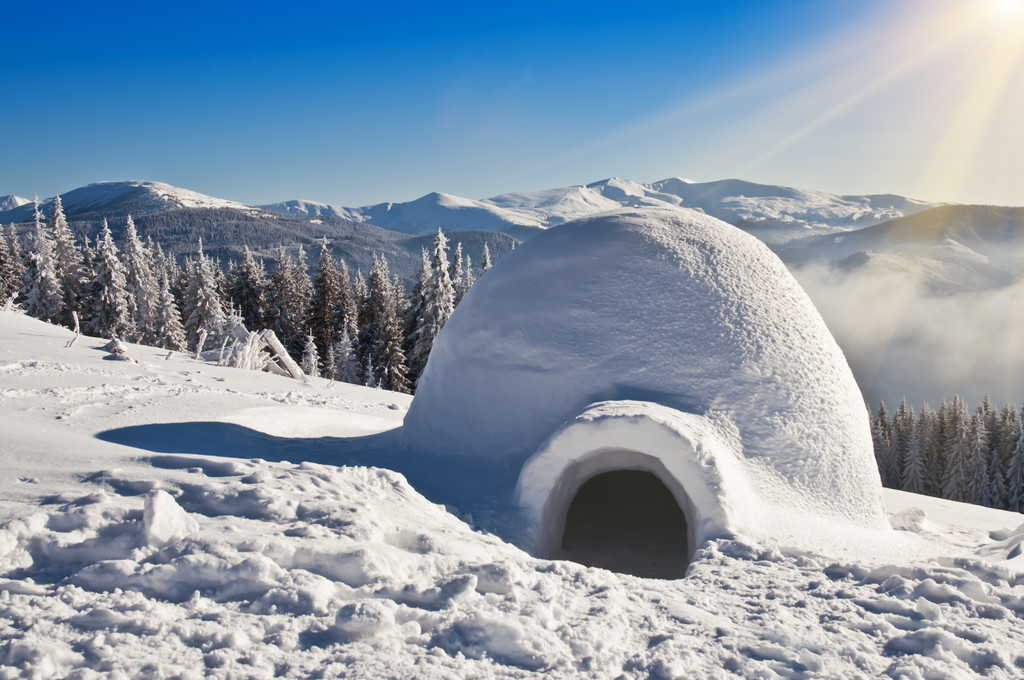 在雪地上的冰屋图片