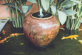 鱼得水喷泉