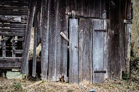 被遗弃和被遗忘图片