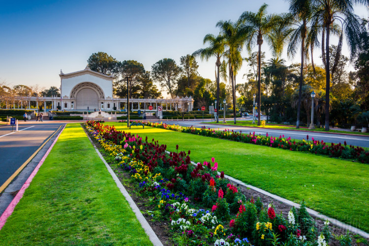 花園和 San Diego 巴爾博亞公園里的斯普瑞柯器官?zèng)鐾?>
            </div>
        </div>
    </div>
        <div   id=