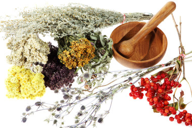 在白色背景上的草药图片