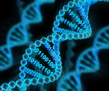 Dna 分子與二進(jìn)制代碼，3d 渲染