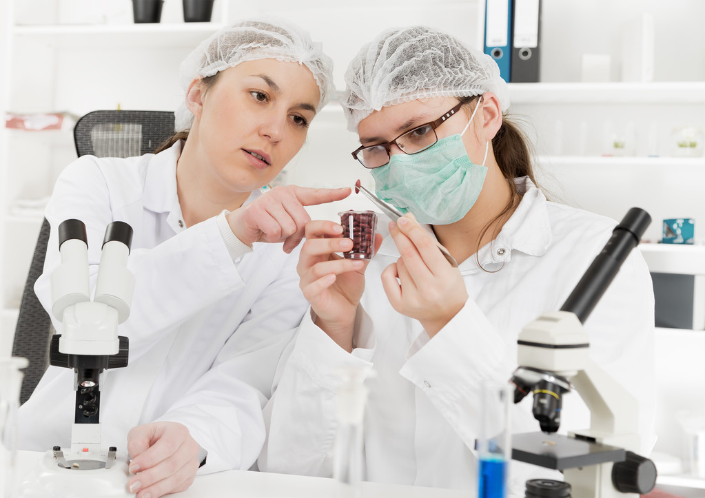 在对食品质量的实验室实验室助理 在对食品质量的实验室实验室助理