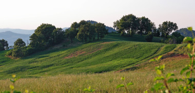在托斯卡納鄉(xiāng)村景觀圖片