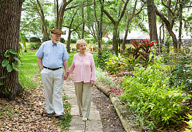 年长者一起散步