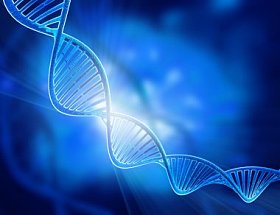 dna 的结构图片