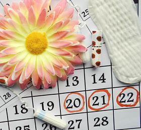 卫生护垫、 卫生棉和橙色非洲菊与月经日历