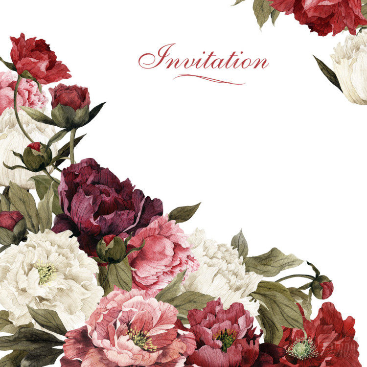 與牡丹賀卡,圖片