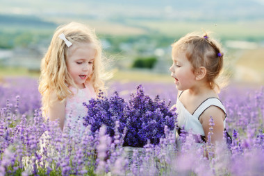 在字段中的兩個(gè)快樂(lè)女孩圖片