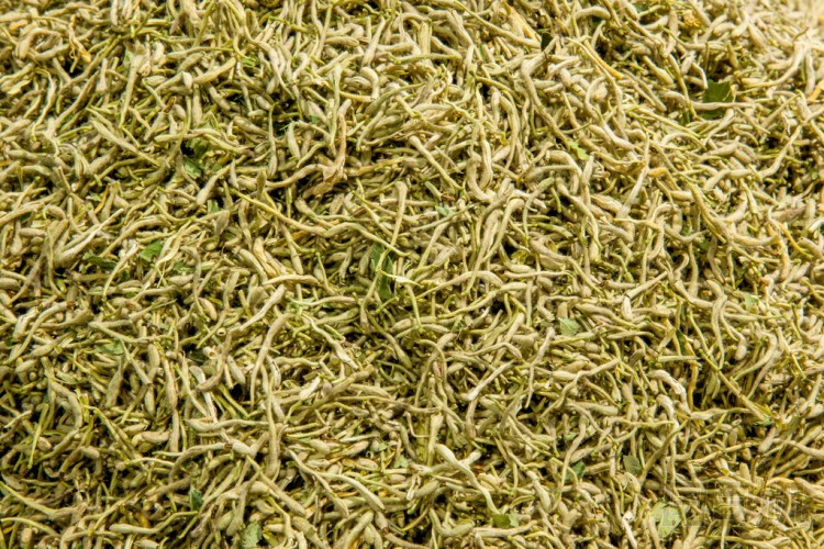 健康茶醫(yī)學(xué)-金銀花圖片