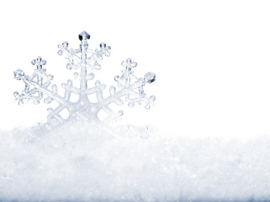 在雪中的雪花