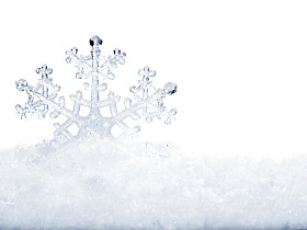 在雪中的雪花