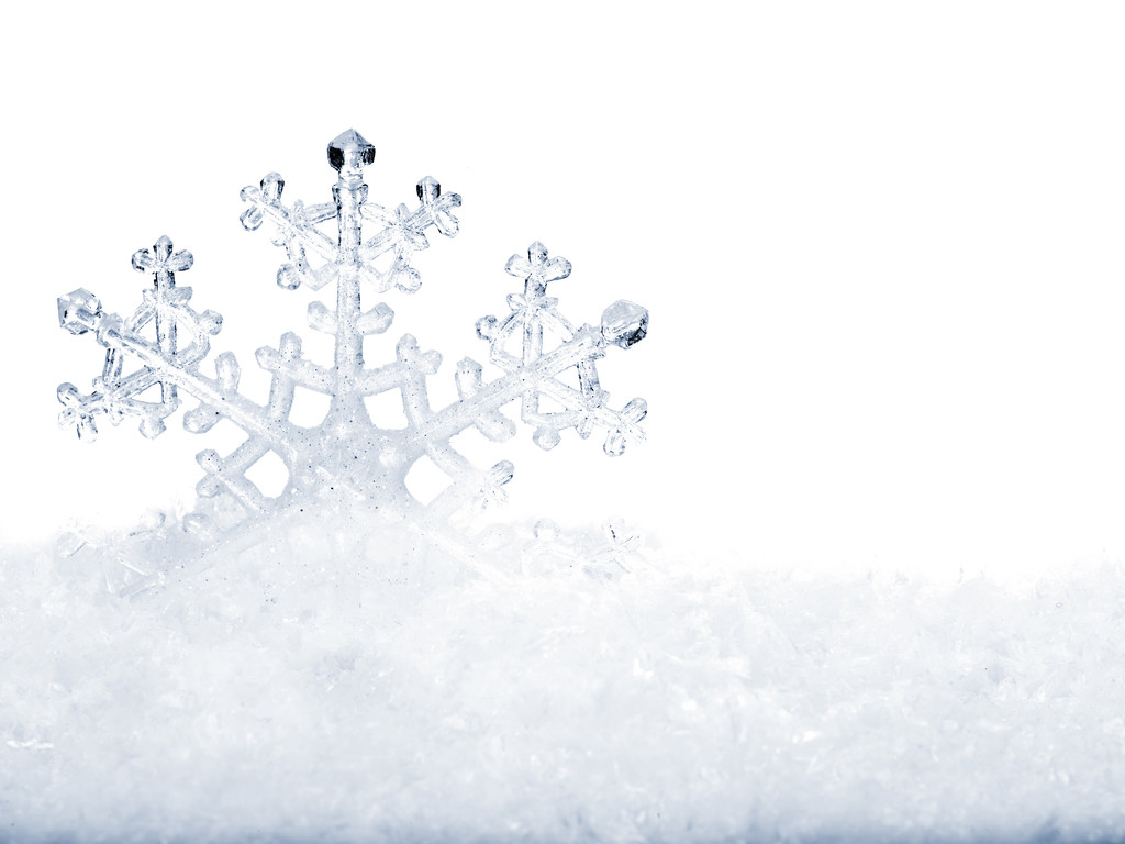 在雪中的雪花