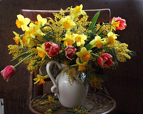 春天色彩的花束