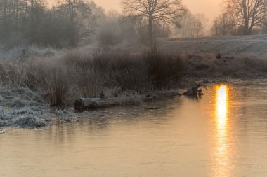 冬天的字段和草甸