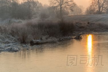 冬天的字段和草甸