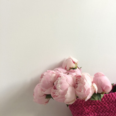 牡丹在一個袋子里的花束