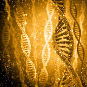 多彩的 Dna 结构