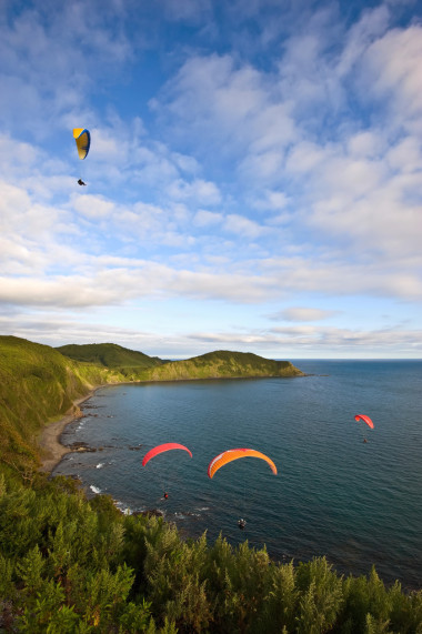 四個滑翔傘飛越海岸