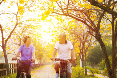 高級(jí)對(duì)幸福的夫婦騎著自行車在公園
