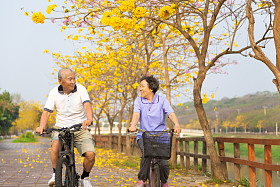 幸福的亚洲高级夫妇骑着自行车在公园