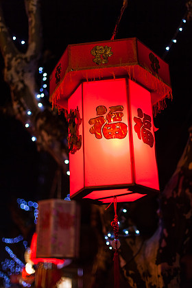 展览的元宵节花灯