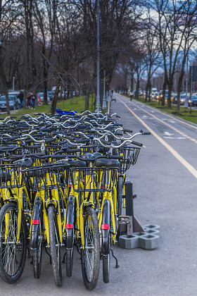 组的黄色的自行车