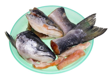 頭和尾巴魚三文魚照片