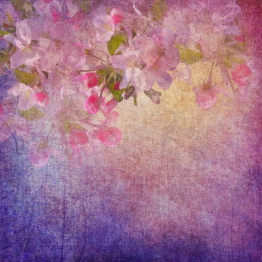 绘画风格插花艺术