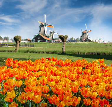 桑斯安斯 Schans圖片