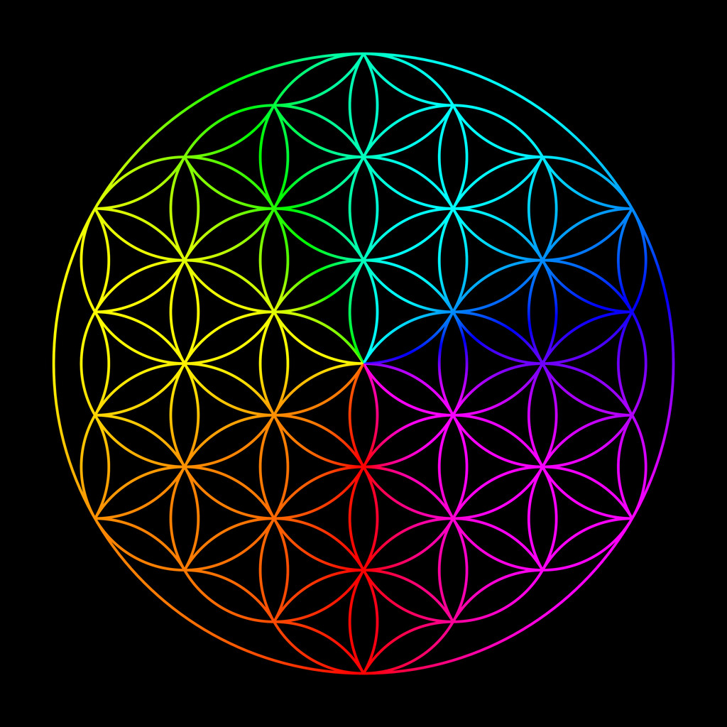 彩虹的生命之花图片