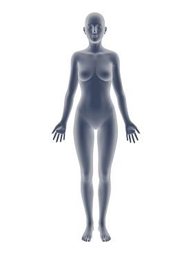 女人的身体