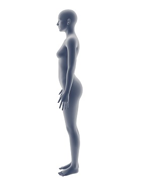 女人的身体照片