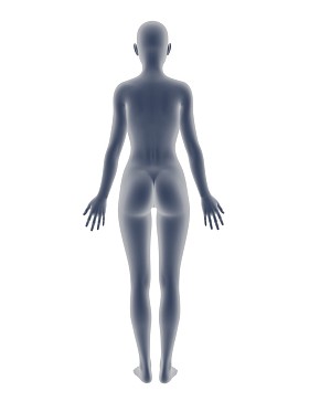 女人的身体