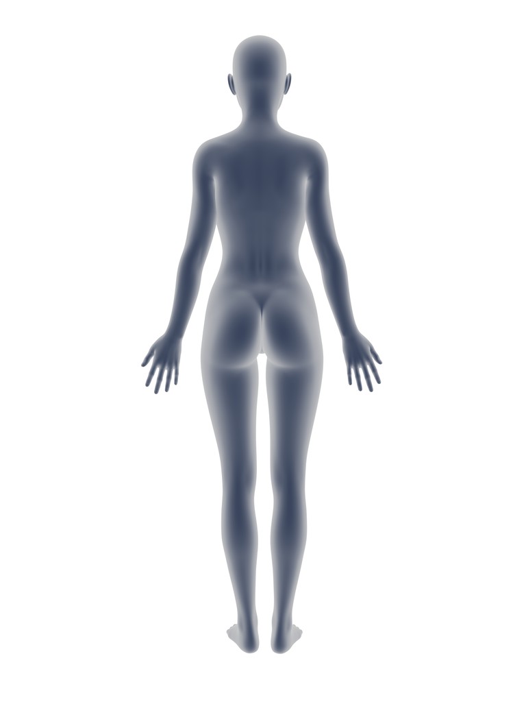 女人的身体