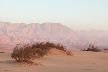 在日落時沙漠中的綠洲圖片