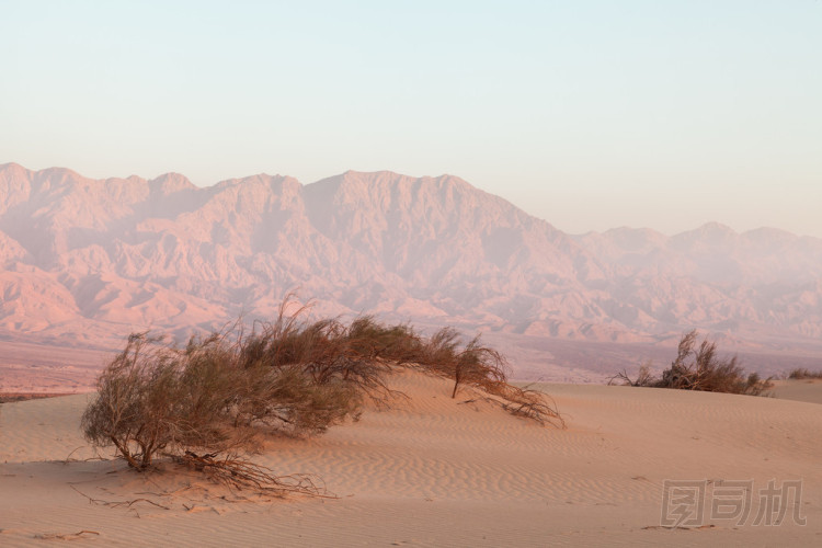 在日落時沙漠中的綠洲圖片