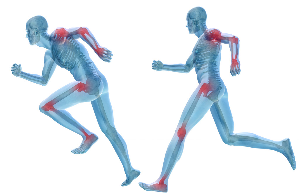 3d 男人的肌肉 3d 男人的肌肉