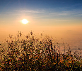 在自然的日出景