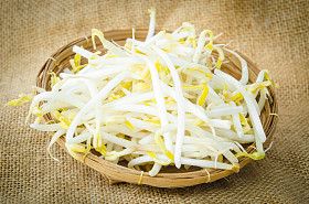 绿豆或豆芽