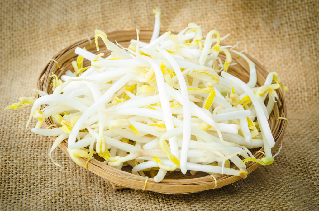 绿豆或豆芽