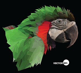 金刚鹦鹉鹦鹉头上黑色的背景，抽象的低多边形