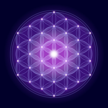 鮮艷的花朵，有明星的生活圖片