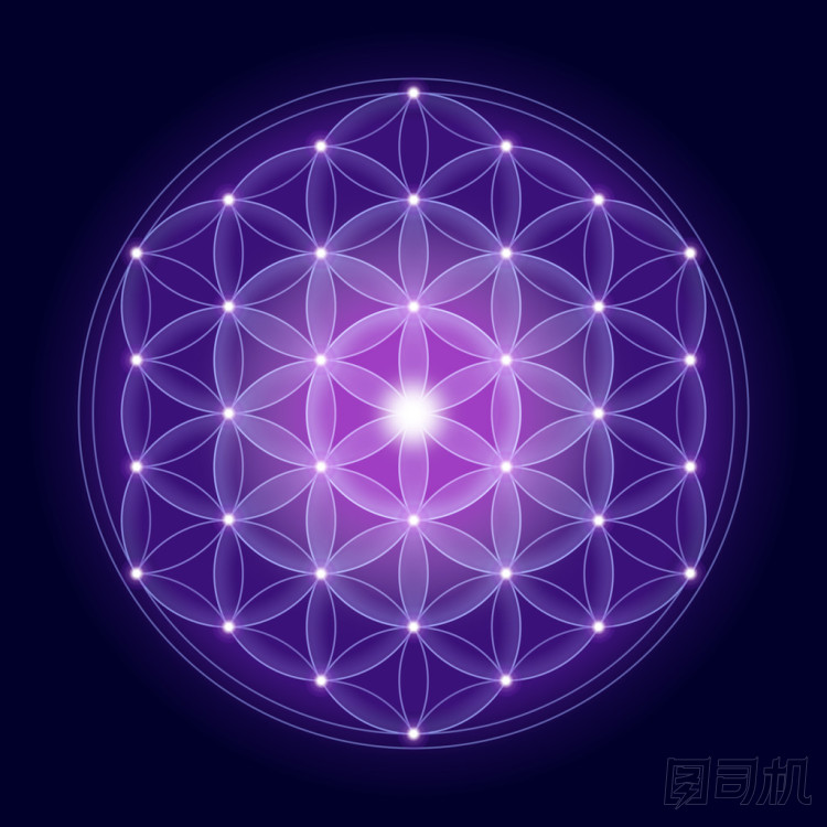 鮮艷的花朵，有明星的生活圖片