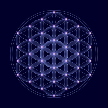 生命與明星之宇宙花