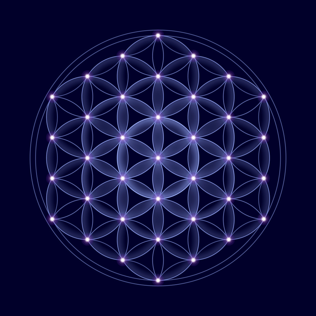 生命与明星之宇宙花