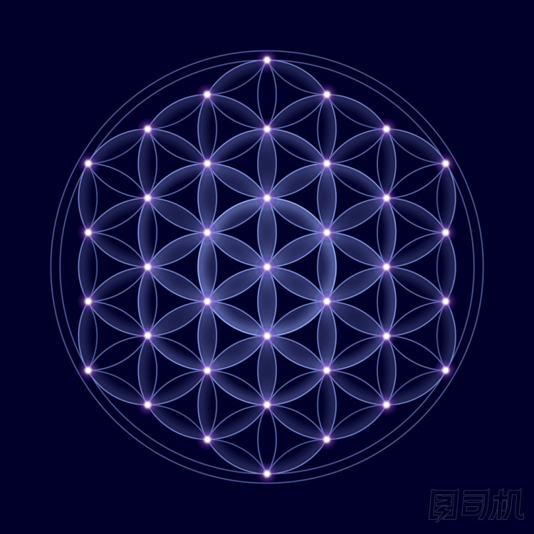 生命與明星之宇宙花