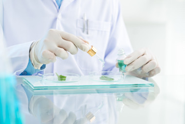 科學家測試反應照片