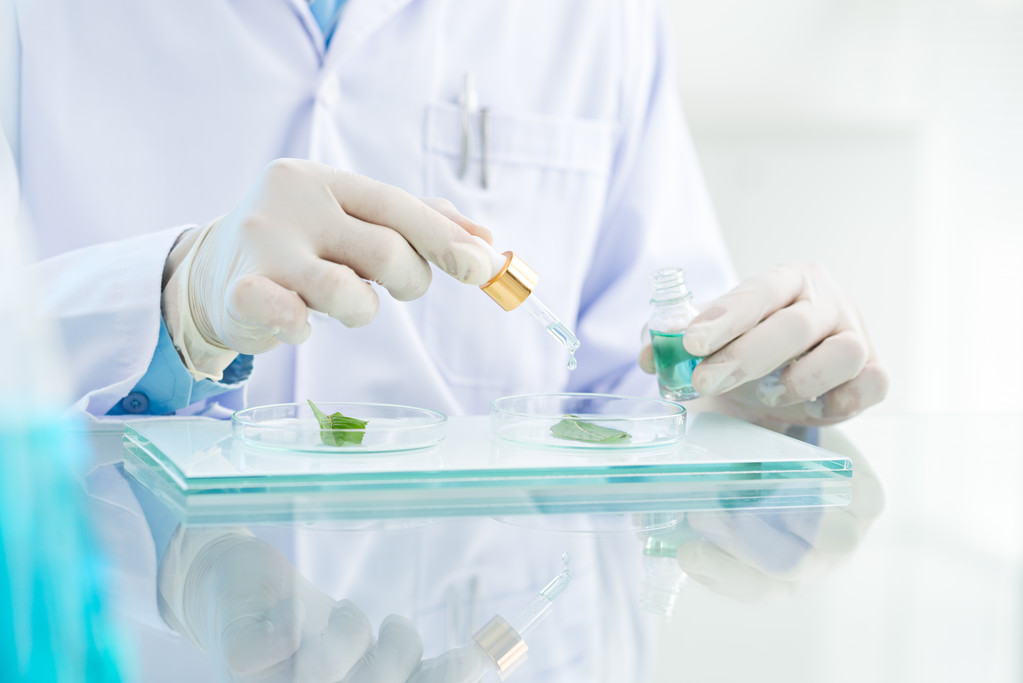 科学家测试反应照片