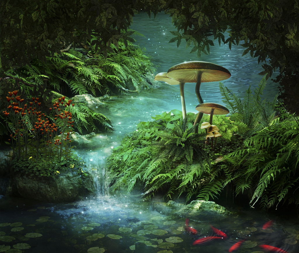 梦幻般的河流和池塘